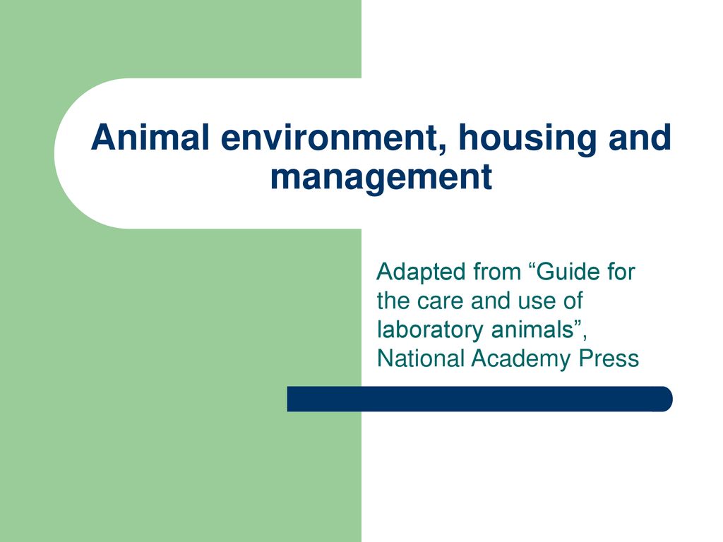 Animal environment, housing and management - ppt download
