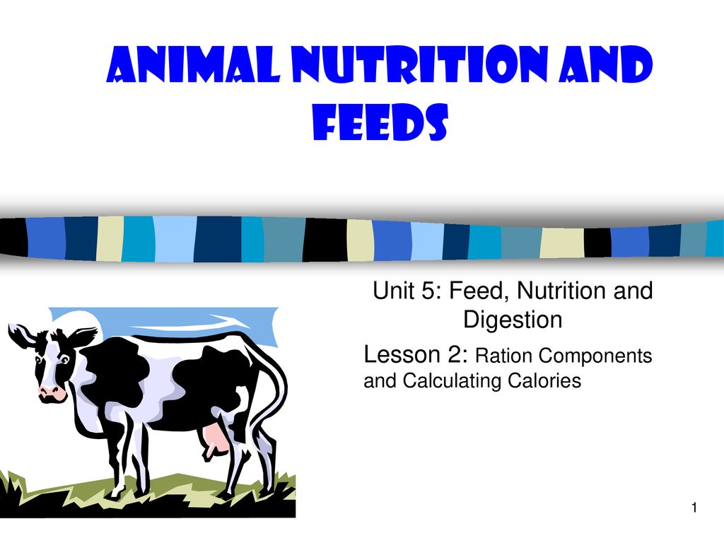 Animal Nutrition and Feeds - ppt download