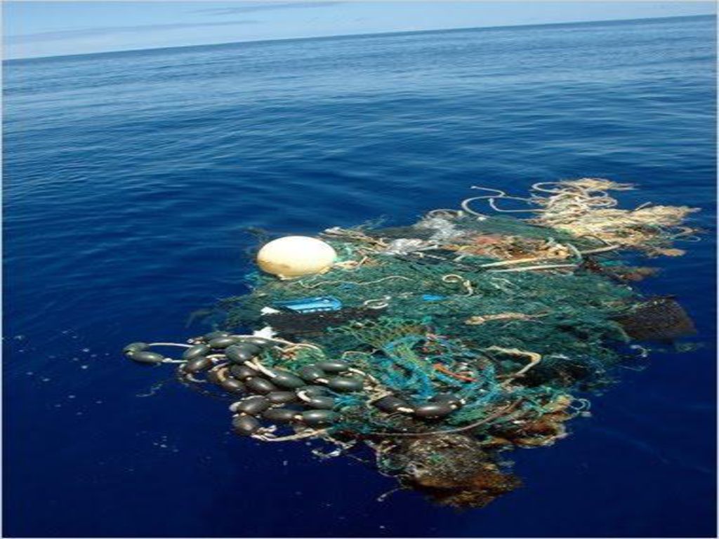 Время в тихом океане. Остров мусора в тихом океане. Мусорный материк в тихом океане. Площадь мусорного острова в тихом океане. Дрейфующий мусорный остров в тихом океане.