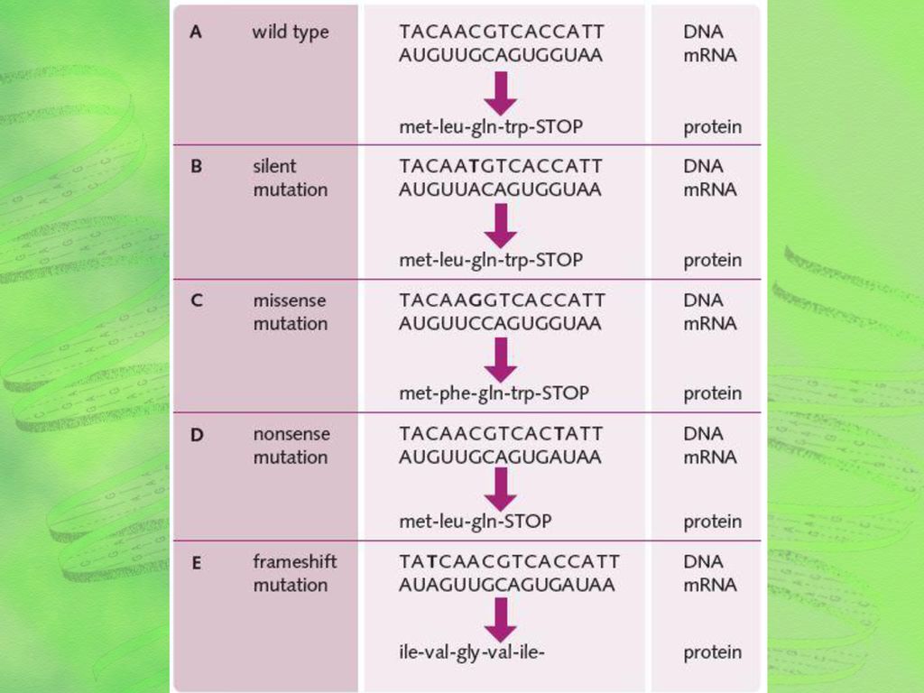 Protein Synthesis Chapter 5 Ppt Download