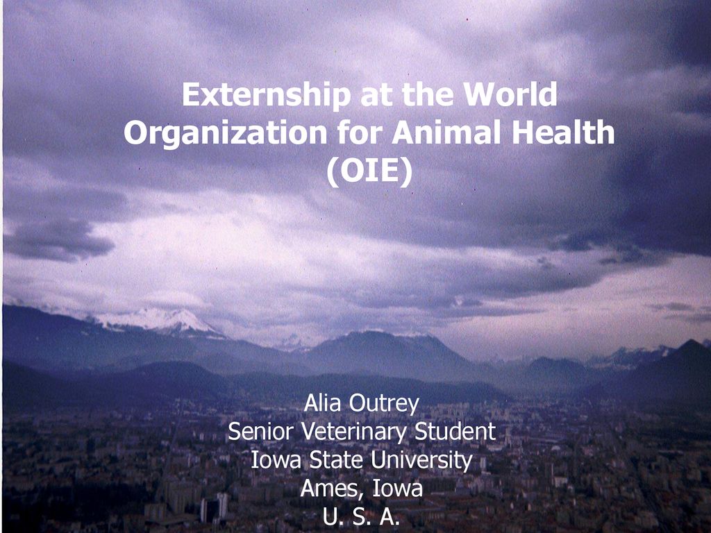 Externship at the World Organization for Animal Health (OIE) - ppt download