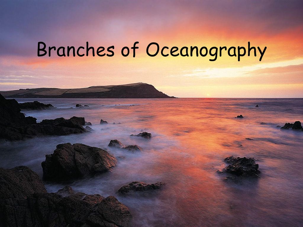 Branches of Oceanography - ppt download