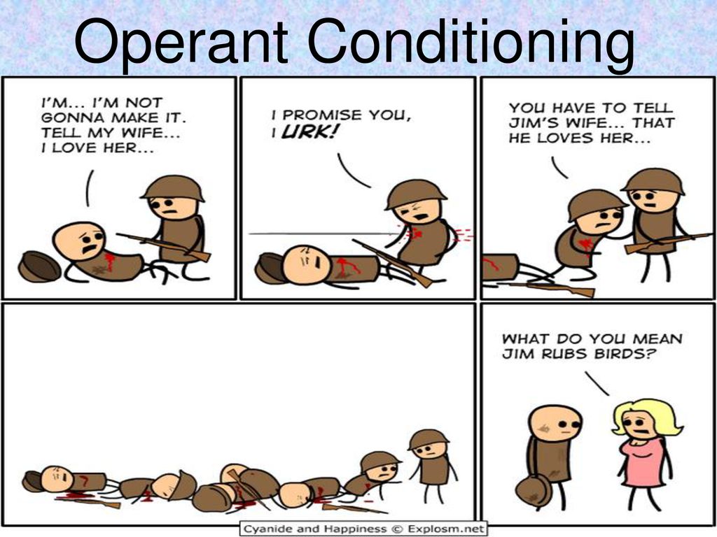 Operant Conditioning. - ppt download