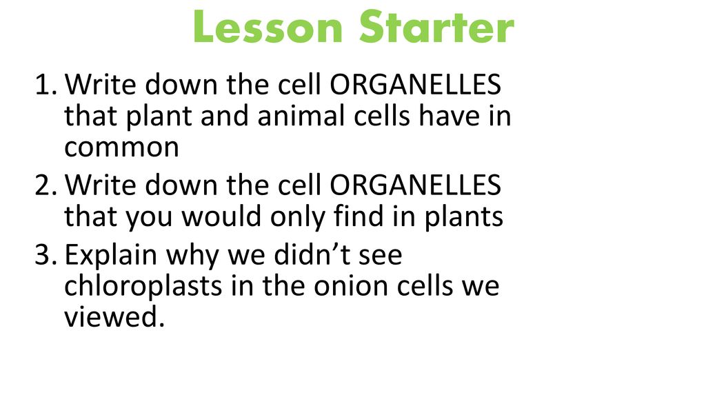 Lesson Starter Write down the cell ORGANELLES that plant and animal cells  have in common Write down the cell ORGANELLES that you would only find in.  - ppt download