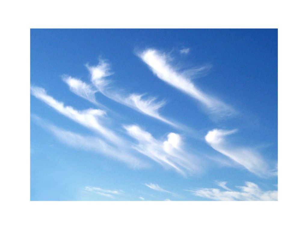 По небосклону высокому и прозрачному. Облака Кучевые перистые Слоистые. Перистые облака Кучевые облака Слоистые облака. Перистые облака для детей. Перистые плотные облака.