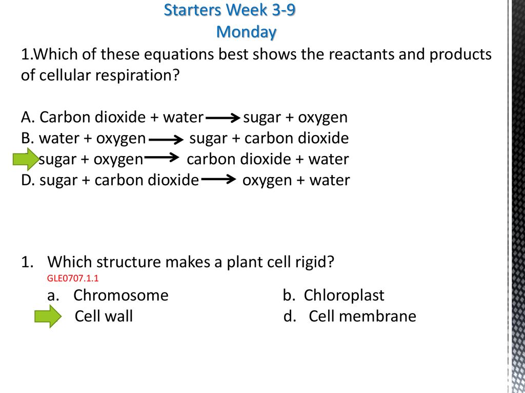 What Are The Reactants In The Equation For Cellular Respiration? - Cellular Respiration Definition And Examples Biology Online Dictionary / The overall (unbalanced) chemical equation for cellular respiration is: