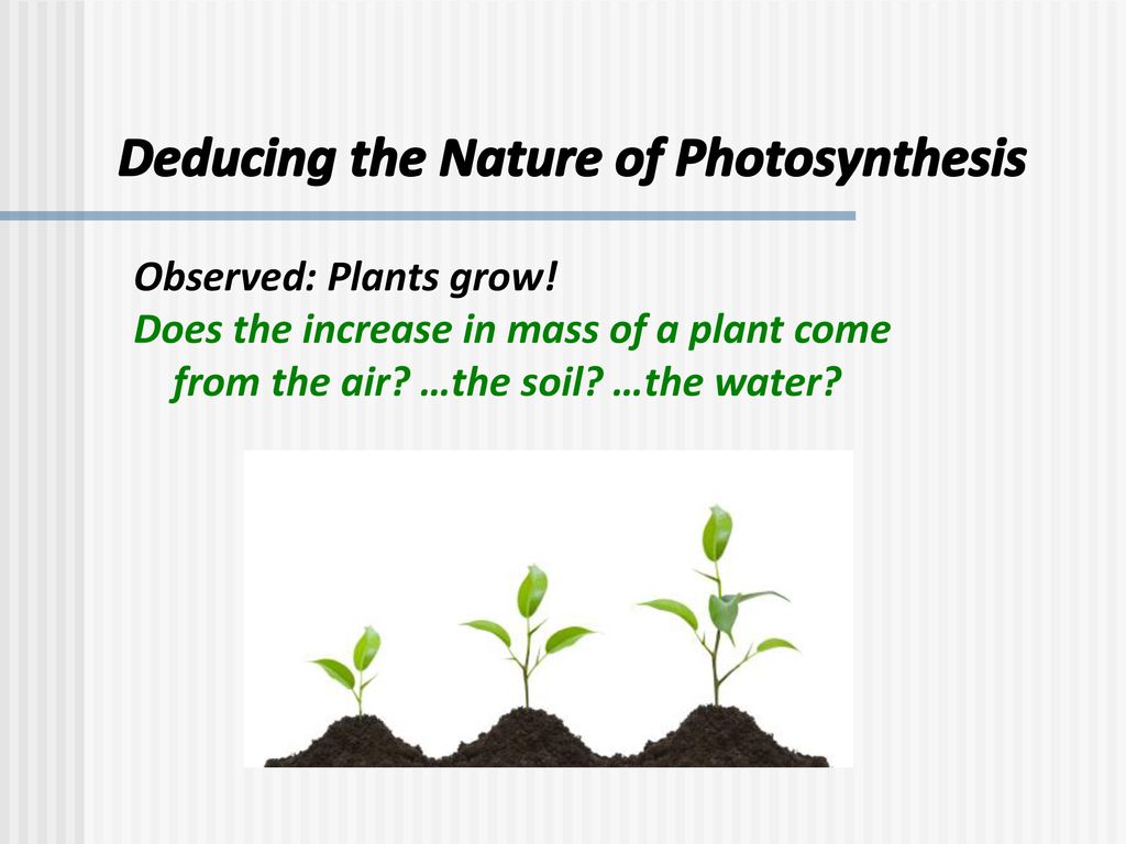 If a plant were under water and was photosynthesizing, what gas would be visibly bubbling from the plant?