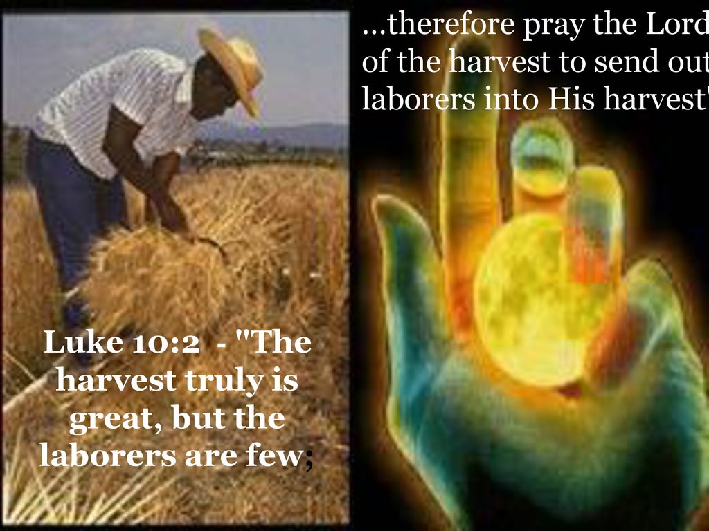 Luke 10:2 - &quot;The harvest truly is great, but the laborers are few; - ppt  download