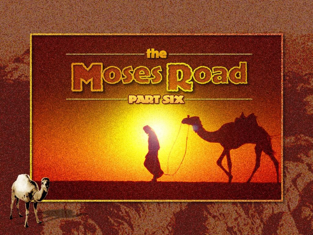 Exodus Then Moses Led Israel From The Red Sea And They Went Into The