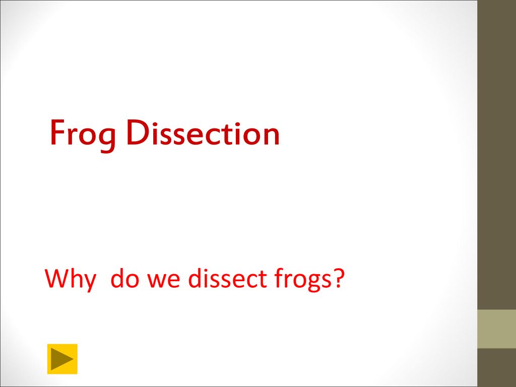 Frog Dissection Why do we dissect frogs?. - ppt download Inside Frog Dissection Pre Lab Worksheet