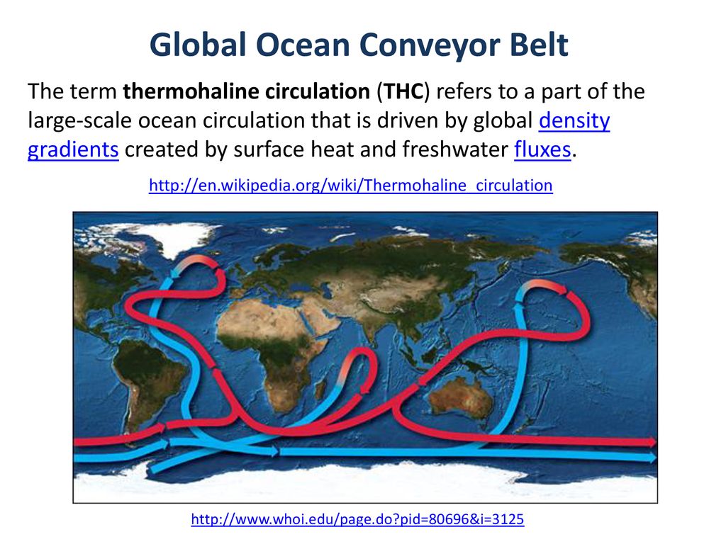 Global Ocean Conveyor Belt - ppt download