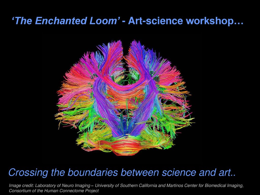 The Enchanted Loom' - Art-science workshop… - ppt download