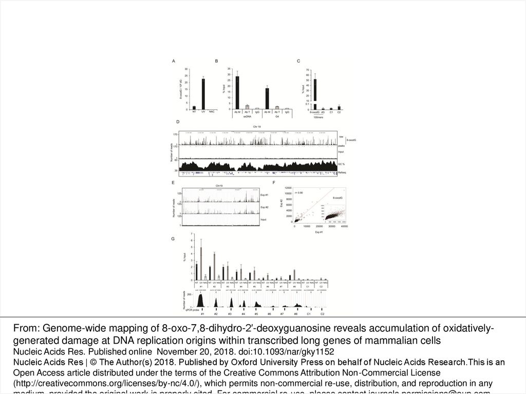 Figure 1 A Number Of 8 Oxodgs Per Million Of Dgs 8 Oxodg 10 Sup 6 Sup Dg Measured By Lc Ms Ms In Untreated Nt Uv Irradiated Uv And Nac Treated Ppt Download