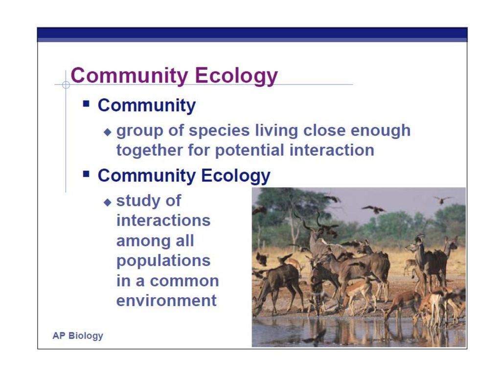 Community Ecology Chapter ppt download