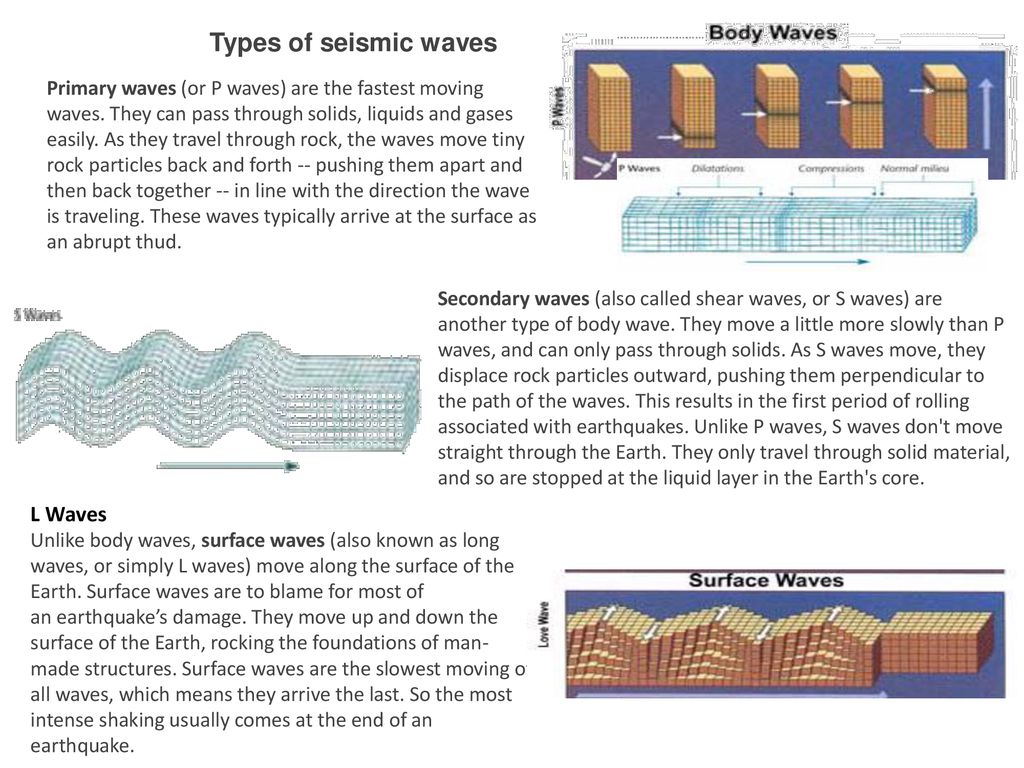 p waves s waves and movement