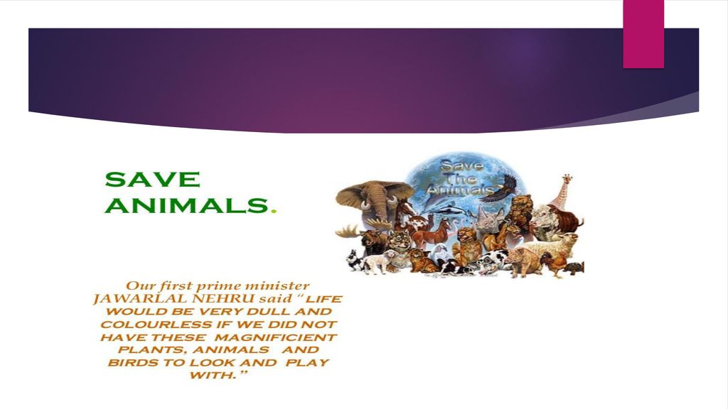 Save animals Wildlife week to ppt download