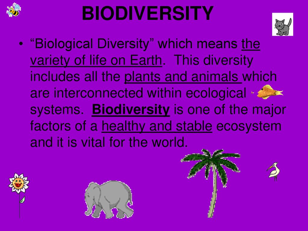 BIODIVERSITY “Biological Diversity” which means the variety of life on  Earth. This diversity includes all the plants and animals which are  interconnected. - ppt download