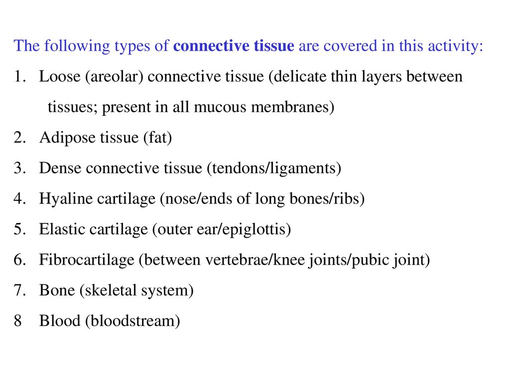 The following types of connective tissue are covered in this 