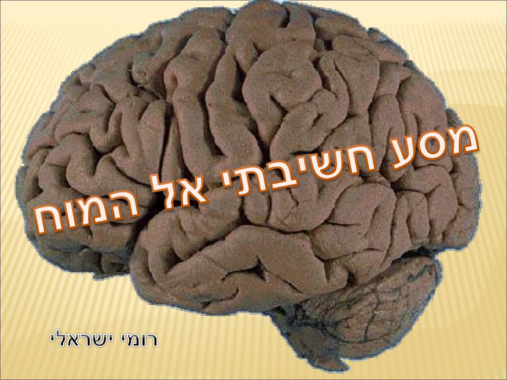 מסע חשיבתי אל המוח רומי ישראלי. - ppt download