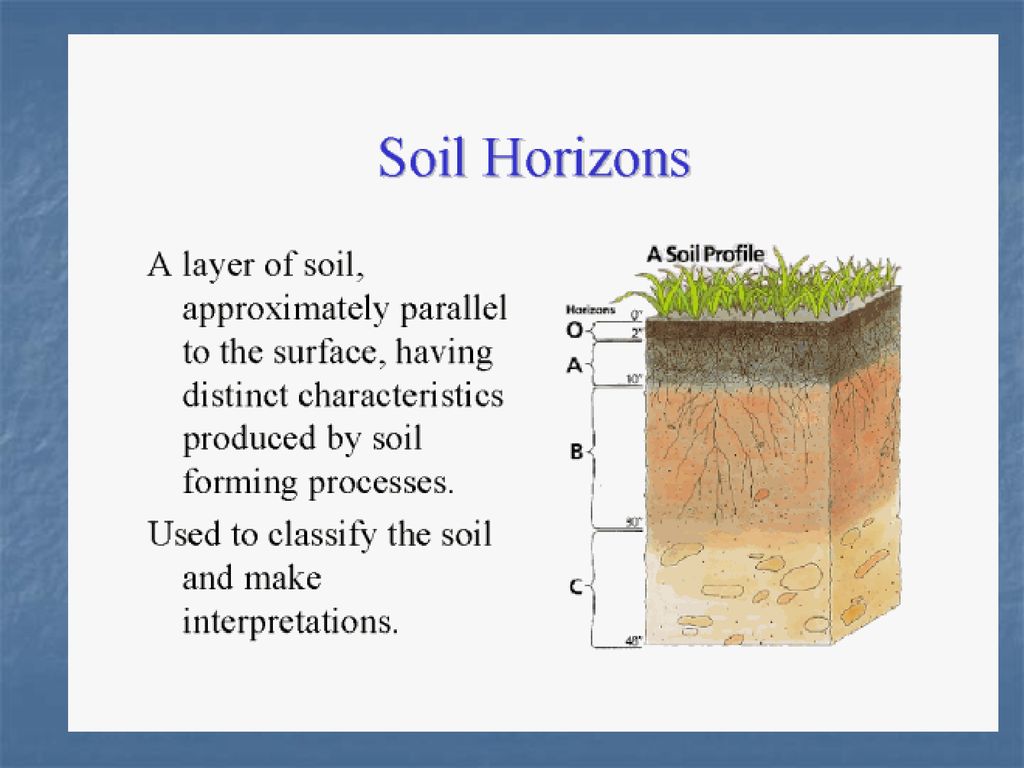 Верхний слой купить. Soil Horizons. Почвенный профиль. Срез почвы. Structure of the Soil Horizon.