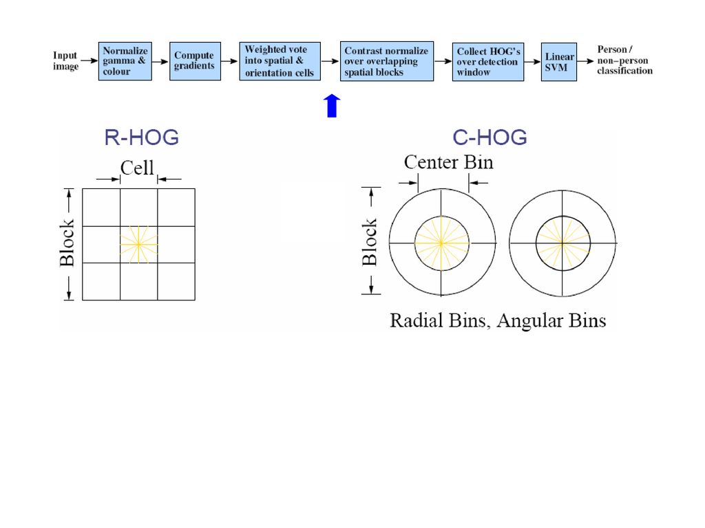 Pedestrian Detection Histograms of Oriented Gradients for Human ...