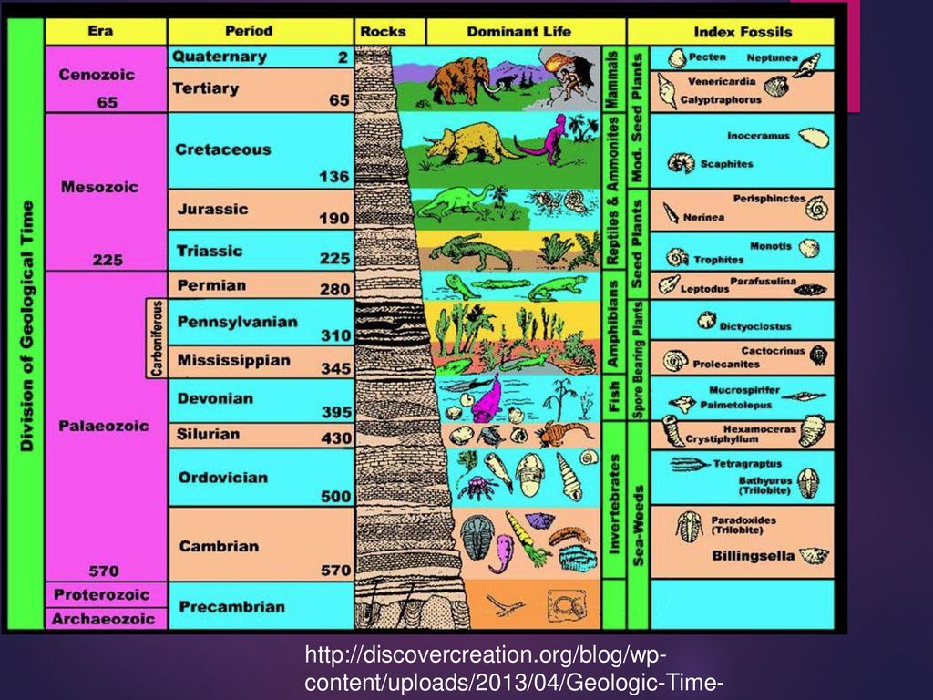 Эры планеты земля. Геохронологическая таблица развития земли. Рис 44 Геохронологическая шкала. Геохронологическая шкала эпох и периодов. Геохронологическая шкала эры периоды эпохи с картинками.