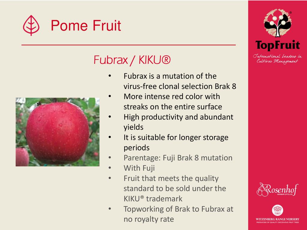 Pome Fruit Fubrax KIKU ppt download