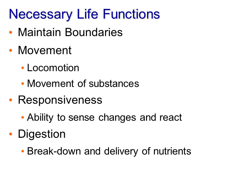basic functions of life process