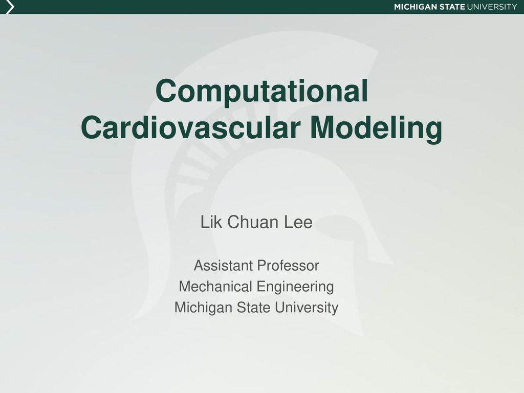 Computational Cardiovascular Modeling - ppt download
