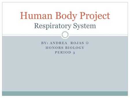 Human Body Project Respiratory System