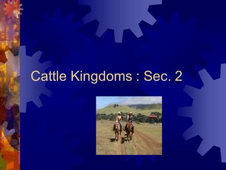 Cattle Kingdoms : Sec. 2. Cattle  Texas Longhorns resulted from Spanish cows bred with Anglo cows.  Spanish vaqueros (cowboys) used a lariat to round.