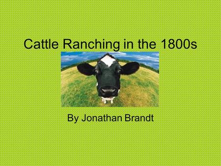 Cattle Ranching in the 1800s By Jonathan Brandt. The History A ranch is a large area of land that is used to farm animals. Ranchers let the animals graze,
