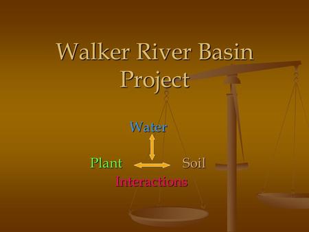 Walker River Basin Project Water PlantSoil Interactions Interactions.