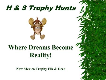 H & S Trophy Hunts Where Dreams Become Reality! New Mexico Trophy Elk & Deer.