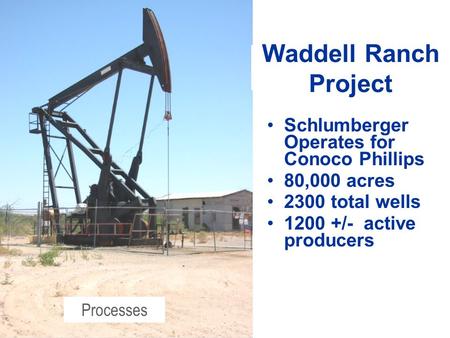 Schlumberger Operates for Conoco Phillips 80,000 acres 2300 total wells 1200 +/- active producers Waddell Ranch Project Processes.