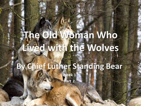 The Old Woman Who Lived with the Wolves