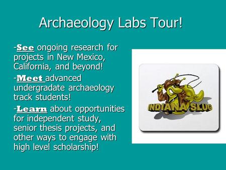 Archaeology Labs Tour! - See ongoing research for projects in New Mexico, California, and beyond! - Meet advanced undergradate archaeology track students!