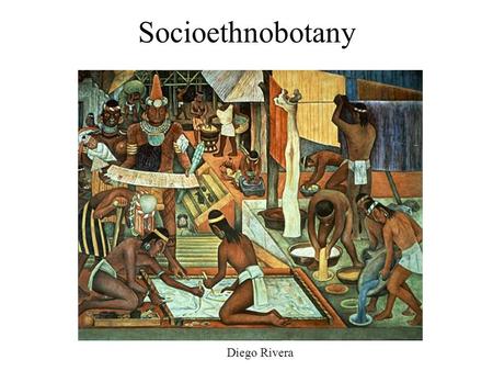 Socioethnobotany Diego Rivera. Socioethnobotany The study of the social aspects of the use of plants – motivated by a desire to understand how to best.