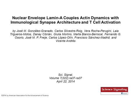 Nuclear Envelope Lamin-A Couples Actin Dynamics with Immunological Synapse Architecture and T Cell Activation by José M. González-Granado, Carlos Silvestre-Roig,