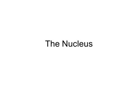 The Nucleus. Nuclear Morphology Chromosome Territories Chromosomes occupy discrete regions of interphase nucleus Chromatin – both heterochromatin and.