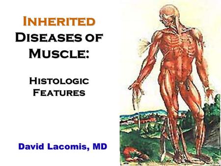 Inherited Diseases of Muscle: Histologic Features David Lacomis, MD.