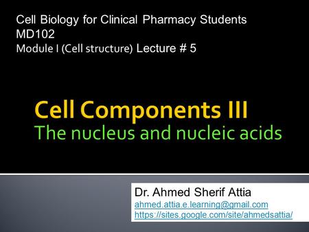 Cell Components III The nucleus and nucleic acids