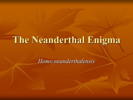 The Neanderthal Enigma Homo neanderthalensis. Who were they? Species restricted to Europe, eastern Middle East during height of Ice Age Species restricted.