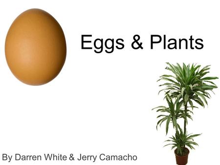 Eggs & Plants By Darren White & Jerry Camacho. Can eggshells aid in the growth of plants? Notes that were researched about eggshells An egg’s outer shell.