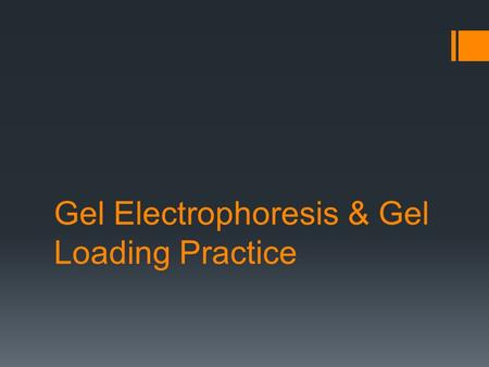 Gel Electrophoresis & Gel Loading Practice. Gel Electrophoresis The process by which electricity is used to separate charged molecules (DNA fragments,