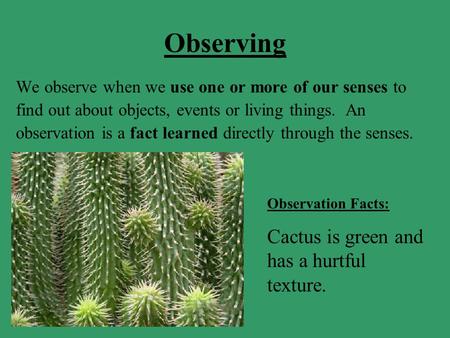 Observing We observe when we use one or more of our senses to find out about objects, events or living things. An observation is a fact learned directly.