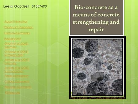Bio-concrete as a means of concrete strengthening and repair