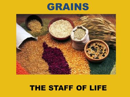 THE STAFF OF LIFE GRAINS. WHAT ARE GRAINS? We know from that grains are an important part of our diet. The orange section of the food pyramid represents.