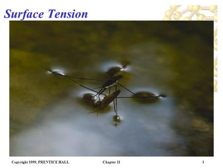 Copyright 1999, PRENTICE HALLChapter 111 Surface Tension.