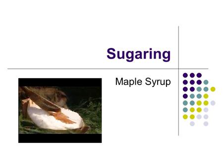 Sugaring Maple Syrup. Quiz Quiz Trade Concentration 6 drops of dye in 40 mL of water 6 drops of dye in 1 mL Boil Off 39 mL.